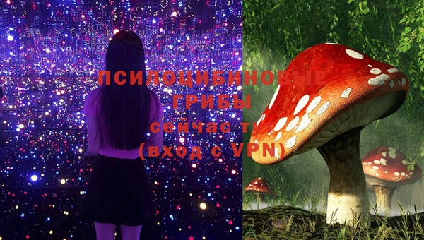 mdpv Кинешма