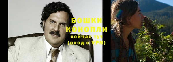 ПСИЛОЦИБИНОВЫЕ ГРИБЫ Касимов