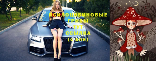 ПСИЛОЦИБИНОВЫЕ ГРИБЫ Касимов