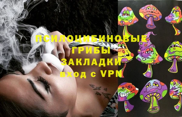 ПСИЛОЦИБИНОВЫЕ ГРИБЫ Касимов