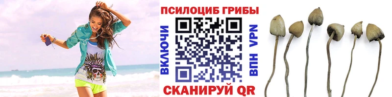 Псилоцибиновые грибы ЛСД  Купить  Дедовск 